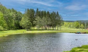 2607 Lower Dingle Hill Rd, Andes, NY 13731