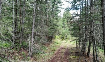 Nhn US Hwy 93, Big Arm, MT 59910