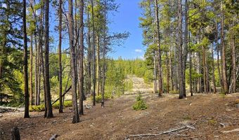 PCS # 7765 & 12057 Rollies Trail lot 0, Alma, CO 80420