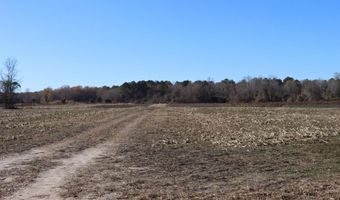 Highway 3, Blackville, SC 29817