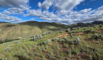 NKN E Tower Creek Road, Carmen, ID 83462