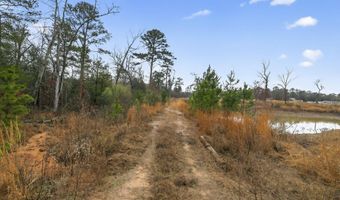868 County Road 2920, Alba, TX 75410