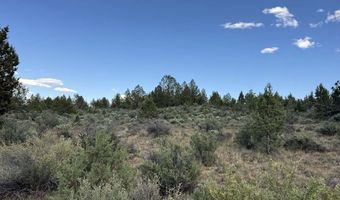 HWY 140 300, Beatty, OR 97621