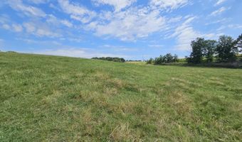 25 Acres State Highway F, Anderson, MO 64831