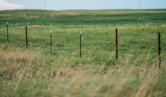 885 Th Rd, Bassett, NE 68714