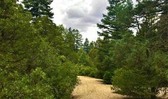 53 Paw A Suki, Arroyo Seco, NM 87514