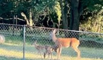 11336 251st St, Beggs, OK 74421