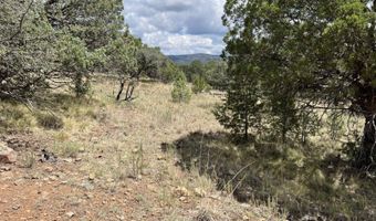 415 XYZ, Arenas Valley, NM 88022