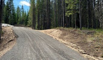 76 Sawtooth Loop Lot 33, Cascade, ID 83611