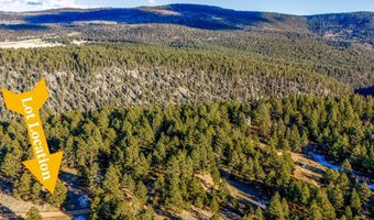 66 Mora Ranch Rd, Angel Fire, NM 87710