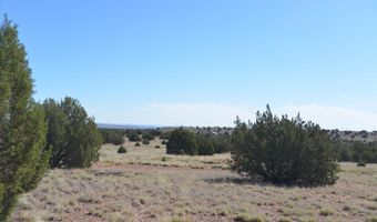9234 N And 9218 Red Riv, Concho, AZ 85924