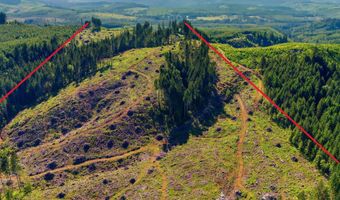 Tunnel Tract Parcel2, Banks, OR 97106