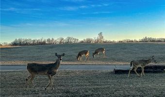 451403 Pheasant Cir Lot 56, Afton, OK 74331