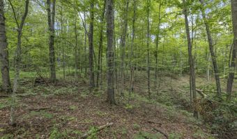 6545 Long Run Rd, Athens, OH 45701