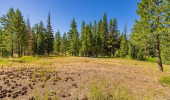 151 Timber Haven Pl, Cascade, ID 83611