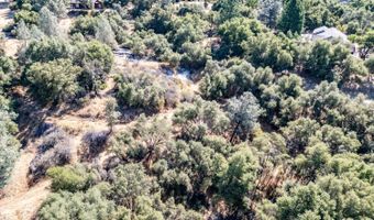41902 Woodward Way, Ahwahnee, CA 93601