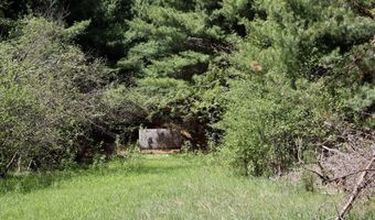 5826 S Morrison Rd, Alger, MI 48610