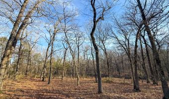 Tract 1 Highway 377, Ada, OK 74820