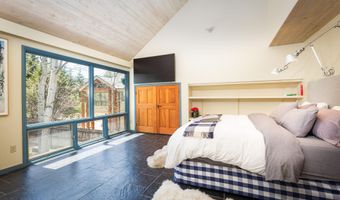 925 W North St, Aspen, CO 81611