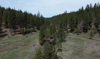 Roney Flat Road, Adin, CA 96006