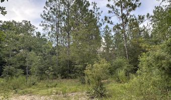 20 Ac Keyser Mill Rd, Baker, FL 32531