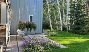 1180 Black Birch Dr, Aspen, CO 81611