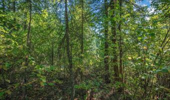 NKA Silver Creek Road, Clark Fork, ID 83811