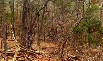 SPITZ Lane, Basye, VA 22810