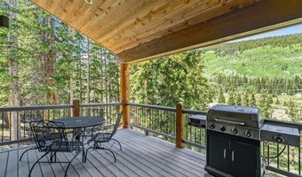 50 Cooney Ct, Blue River, CO 80424