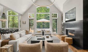 971 Ute Ave, Aspen, CO 81611