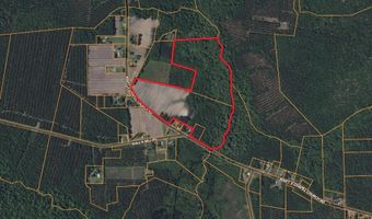 Sr 1932 Off, Aurora, NC 27806