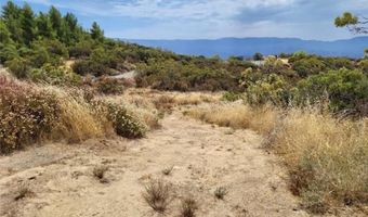 1007 Roan Way, Aguanga, CA 92536