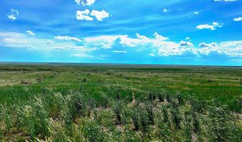0 County Road 80, Briggsdale, CO 80611