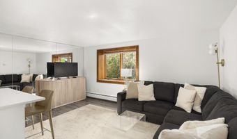 119 E Cooper Ave 25, Aspen, CO 81611