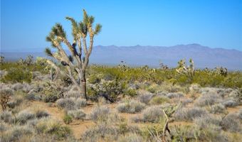 2641 S Javelina Rd, Yucca, AZ 86438