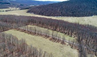 Lot 2 Doig Hollow Road, Andes, NY 13731