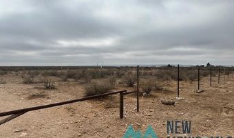 1327 Mcfarland Rd, Carlsbad, NM 88220