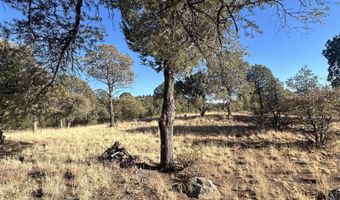 Simmens Ranch Road, Arenas Valley, NM 88061