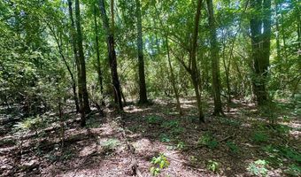 Williams Street, Brookhaven, MS 39601