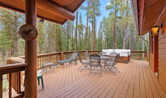 3824 SKI HILL Rd, Breckenridge, CO 80424