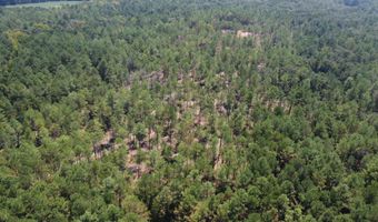 1 Champion Hill Rd, Bolton, MS 39041