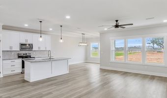 2003 Silcox Rd, Ashford, AL 36312