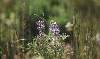 TRACT 4 ASPEN RIDGE Road, Daniel, WY 83115
