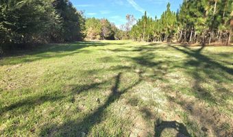 1228 River Rd, Ariton, AL 36311