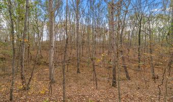 197 Old Homestead Rd, Big Sandy, TN 38221