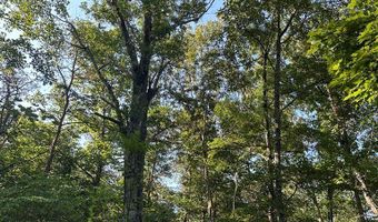 Lot 2B Gidsville Road, Amherst, VA 24521