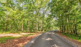 173 Hogan Pond Ln, Ball Ground, GA 30107