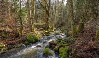 2829 Buckhorn Springs Rd, Ashland, OR 97520