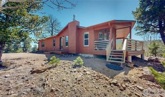 53 Obrien Rd, Bailey, CO 80421
