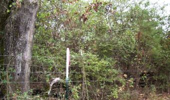 160 LR 717, Ashdown, AR 71822